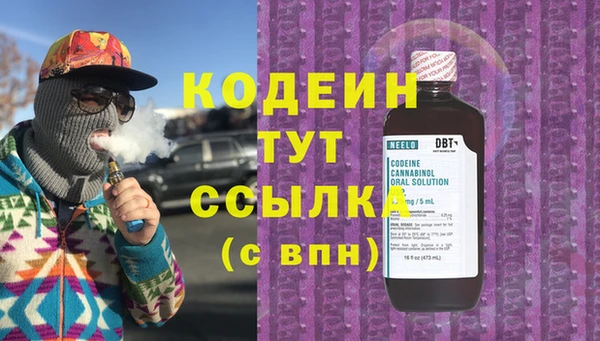 крисы Ельня