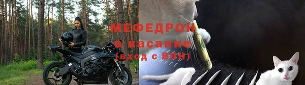 трава Гусиноозёрск