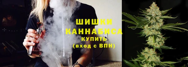крисы Ельня