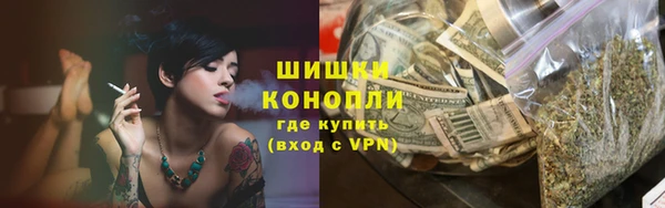 метадон Гусь-Хрустальный