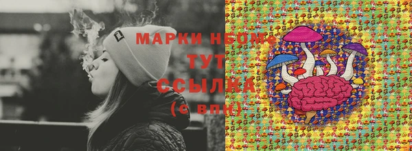 кокс Елизово