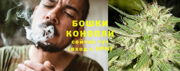 ГАЛЛЮЦИНОГЕННЫЕ ГРИБЫ Дмитров