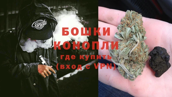 кокс Елизово