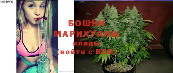 метадон Гусь-Хрустальный