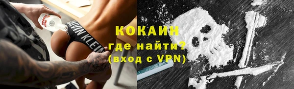 трава Гусиноозёрск