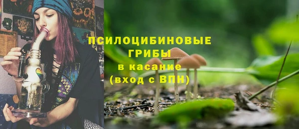 таблы Гусев