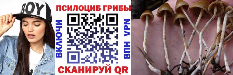 Галлюциногенные грибы MAGIC MUSHROOMS  Купить закладки  Кочубеевское 